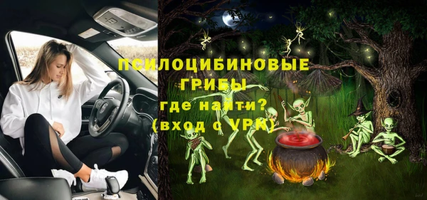 твердый Алексин