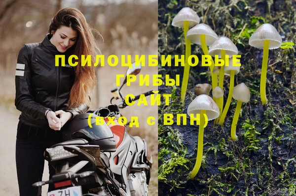 хмурый Алексеевка