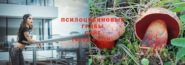 хмурый Алексеевка